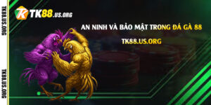 An-ninh-và-bảo-mật-trong-Đá-Gà-88