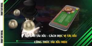 Soi-Cầu-Tài-Xỉu-Cách-Đọc-Vị-Tài-Xỉu---Công-Thức-Tài-Xỉu-Md5